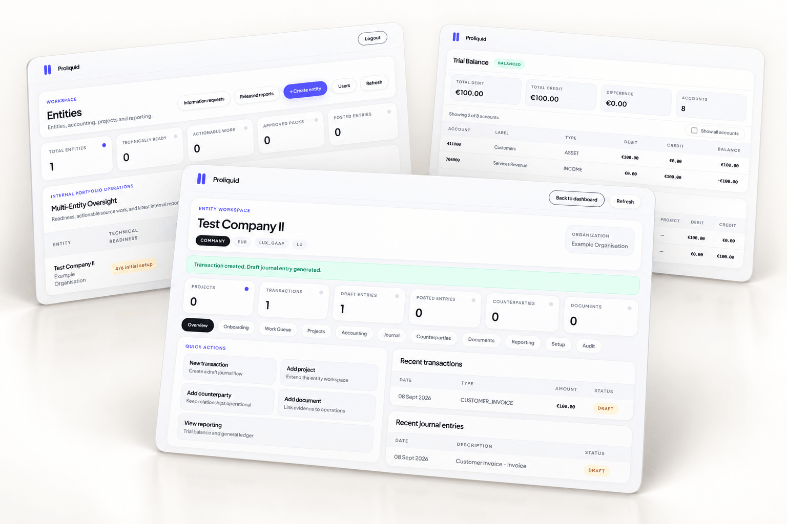 Proliquid accounting workspace: entities, journal entries and trial balance